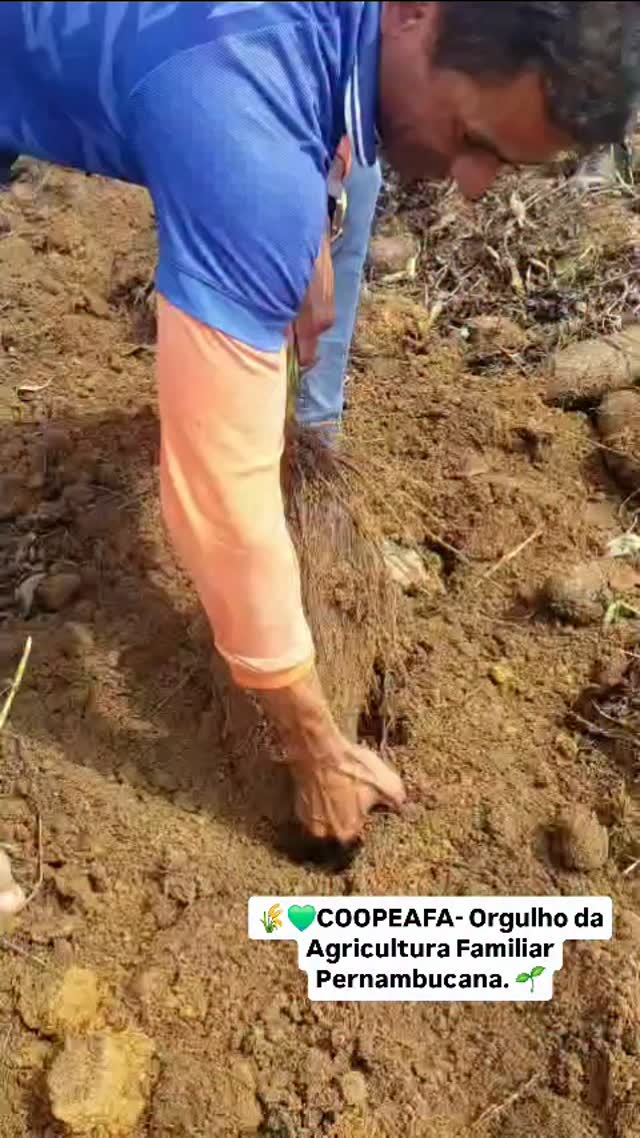 1765250965_581786566_1568339841191186_8555326983316828575_n